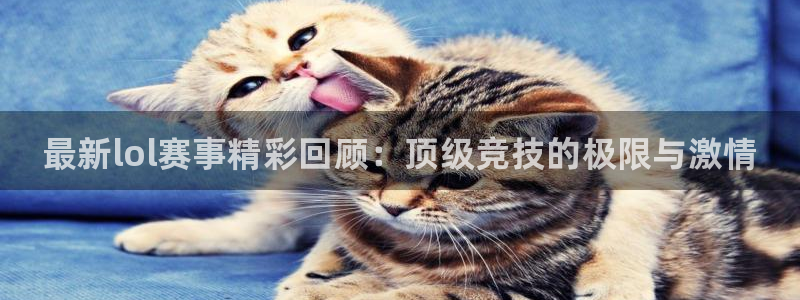 多彩娱乐平台官网入口：最新lol赛事精彩回顾：顶级竞技的极限