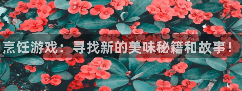 多彩娱乐官方登录网址：烹饪游戏：寻找新的美味秘籍和故事！