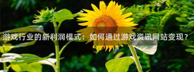 多彩娱乐注册登录：游戏行业的新利润模式：如何通过游戏资讯网站