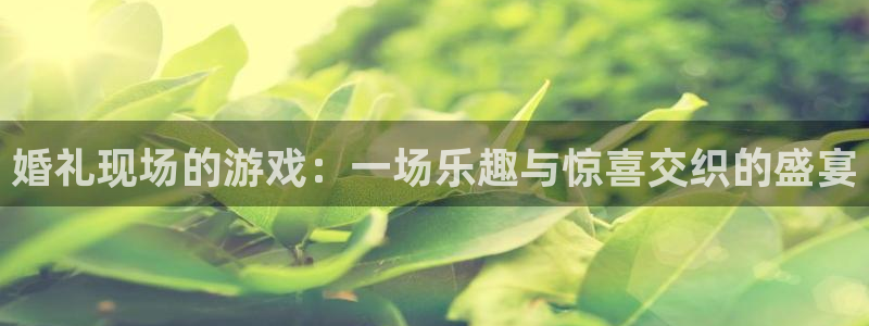 多彩娱乐平台官方网站：婚礼现场的游戏：一场乐趣与惊喜交织的盛