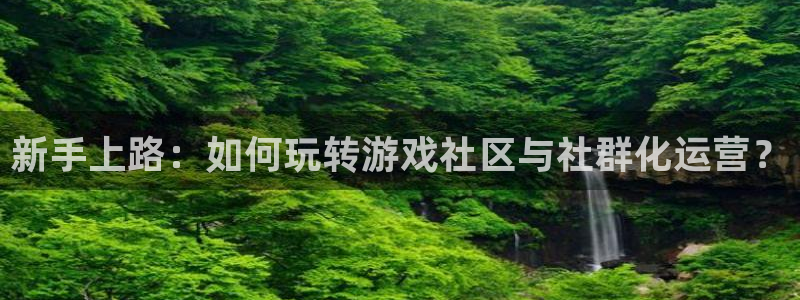 手机版多彩娱乐客户端下载：新手上路：如何玩转游戏社区与社群化