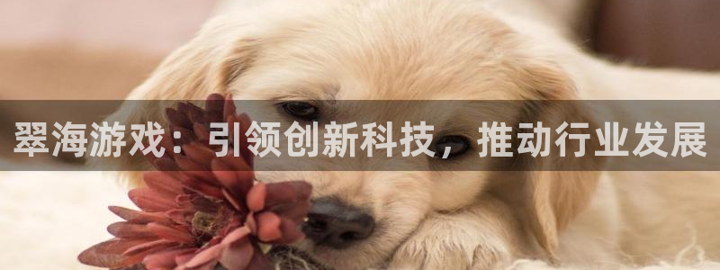 多彩娱乐平台注册开户：翠海游戏：引领创新科技，推动行业发展
