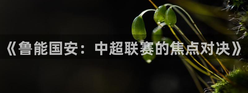 黑白体育免费观看：《鲁能国安：中超联赛的焦点对决》